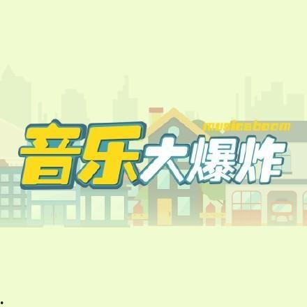 大爆料视频音乐,揭秘流行乐坛的神秘旋律与故事  第1张